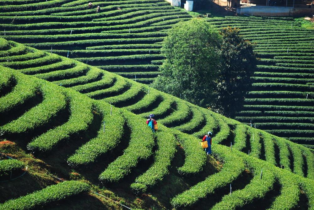 「探險新發現！2023年最全台灣秘境景點旅遊攻略比較」